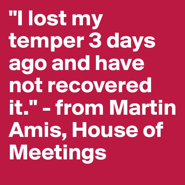 "I lost my temper 3 days ago and have not recovered it." - from Martin Amis, House of Meetings