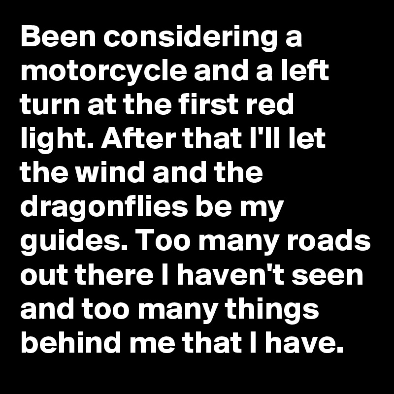 Been considering a motorcycle and a left turn at the first red light. After that I'll let the wind and the dragonflies be my guides. Too many roads out there I haven't seen and too many things behind me that I have.