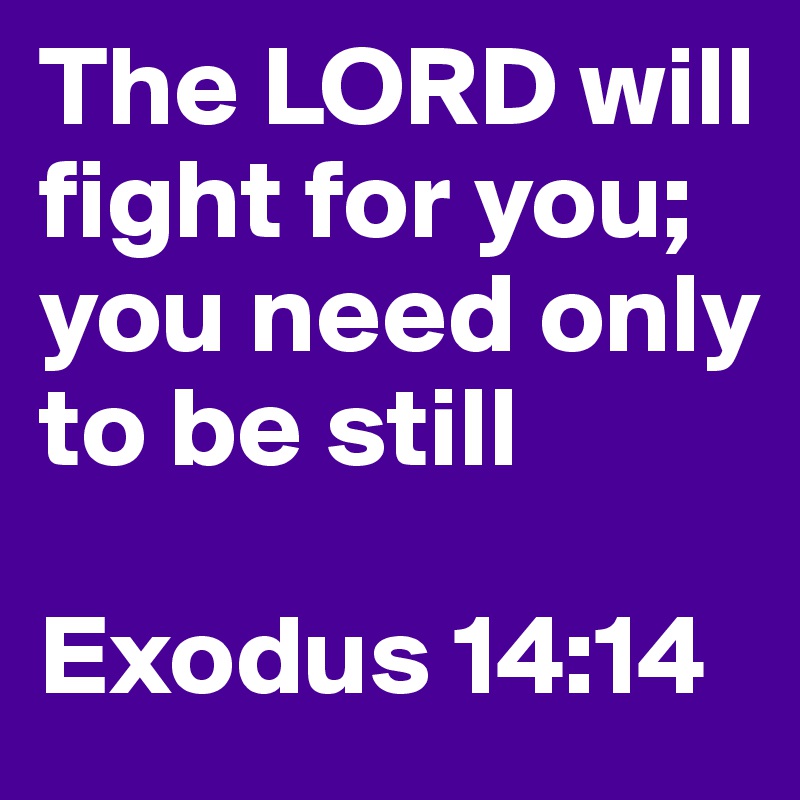 The LORD will fight for you; you need only to be still

Exodus 14:14
