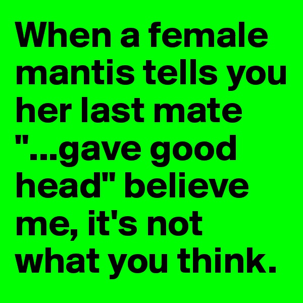 When a female mantis tells you her last mate "...gave good head" believe me, it's not what you think.