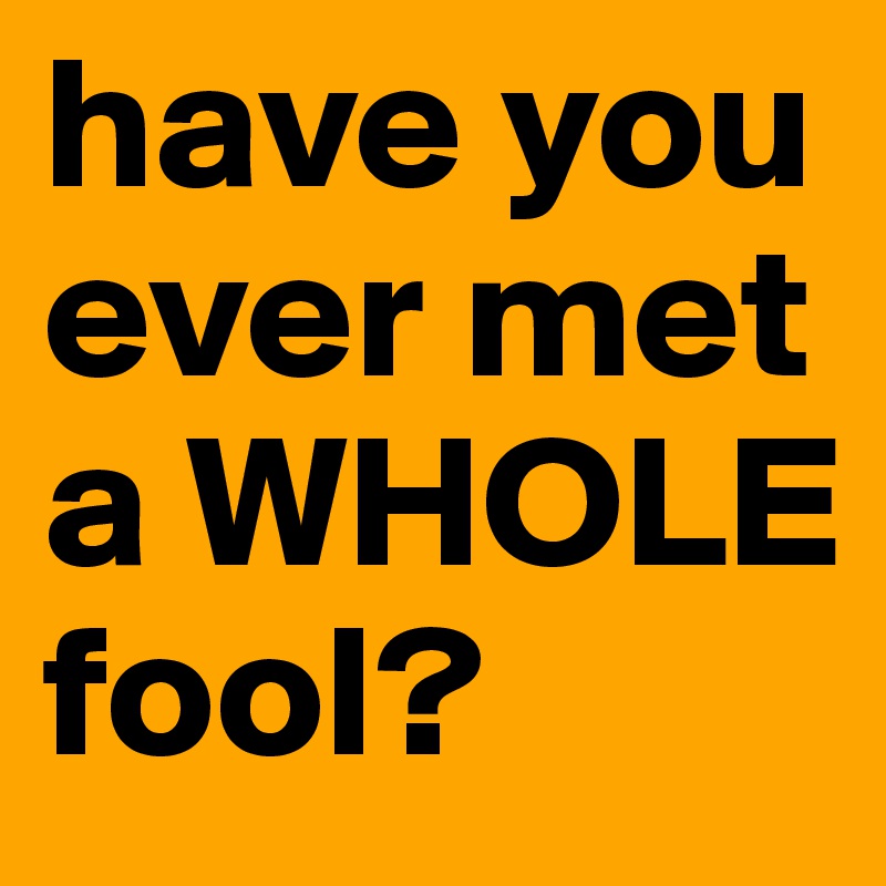 have you ever met a WHOLE fool?