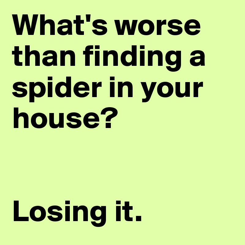 What's worse than finding a spider in your house?


Losing it.