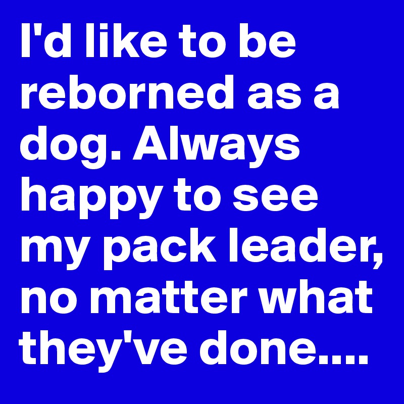 I'd like to be reborned as a dog. Always happy to see my pack leader, no matter what they've done....