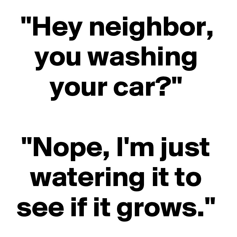 "Hey neighbor, you washing your car?"

"Nope, I'm just watering it to see if it grows."