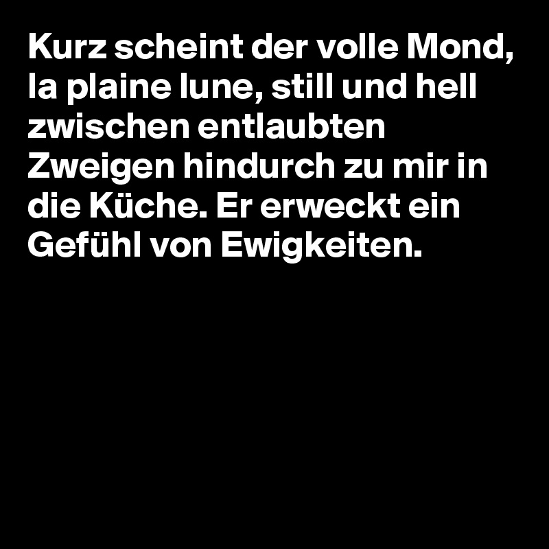 Kurz scheint der volle Mond, la plaine lune, still und hell zwischen entlaubten Zweigen hindurch zu mir in die Küche. Er erweckt ein Gefühl von Ewigkeiten.





 