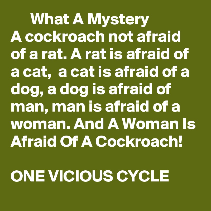       What A Mystery 
A cockroach not afraid of a rat. A rat is afraid of a cat,  a cat is afraid of a dog, a dog is afraid of man, man is afraid of a woman. And A Woman Is Afraid Of A Cockroach!
  
ONE VICIOUS CYCLE  