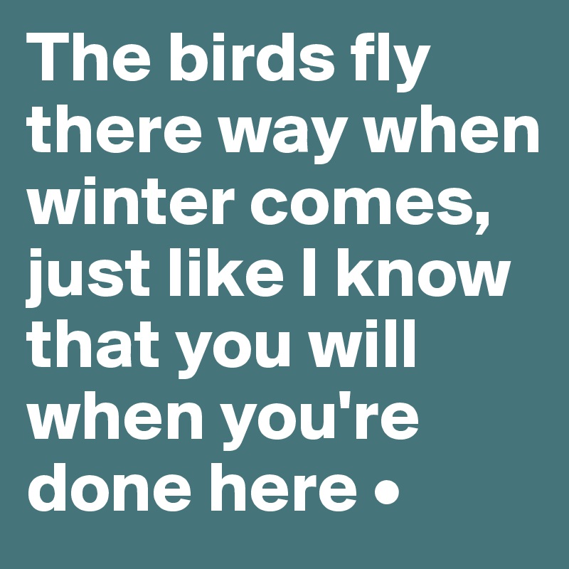 The birds fly there way when winter comes, just like I know that you will when you're done here •