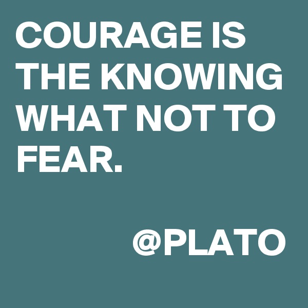 COURAGE IS THE KNOWING WHAT NOT TO FEAR.               

               @PLATO