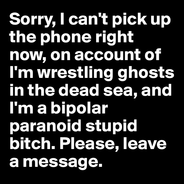 Sorry, I can't pick up the phone right now, on account of I'm wrestling ghosts in the dead sea, and I'm a bipolar paranoid stupid bitch. Please, leave a message.