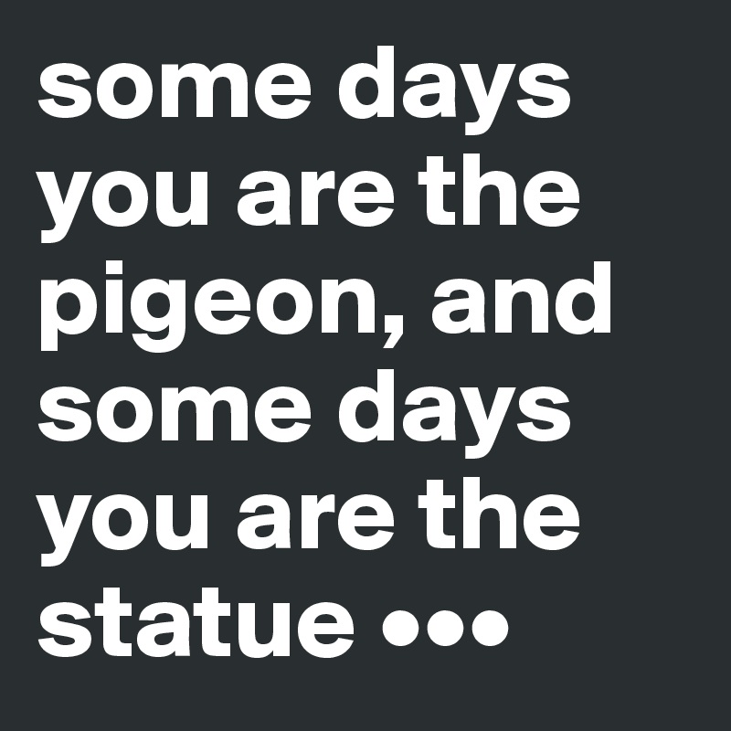 some days you are the pigeon, and some days you are the statue •••