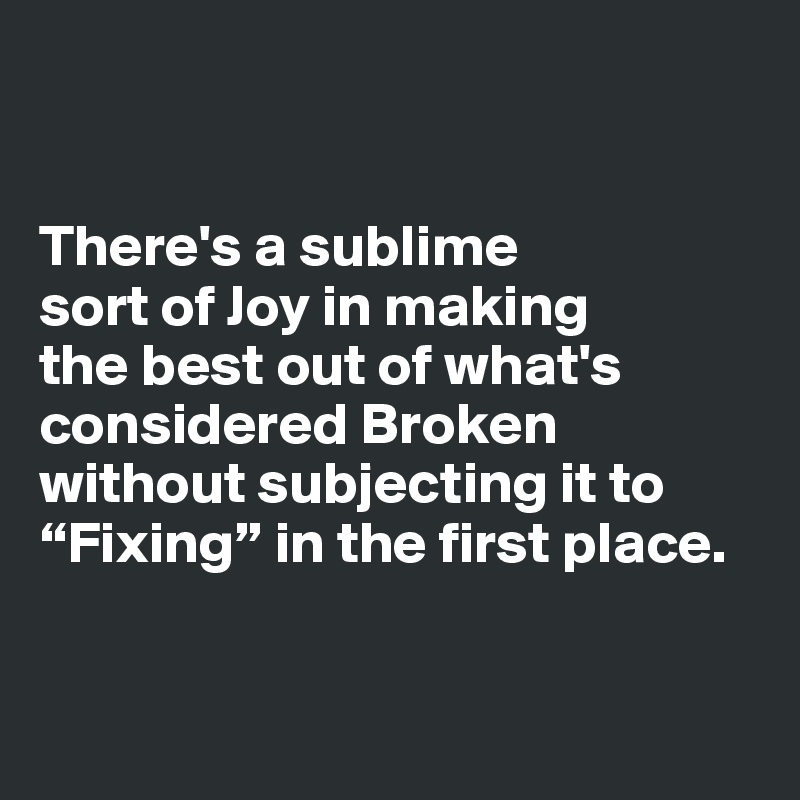 


There's a sublime 
sort of Joy in making 
the best out of what's considered Broken without subjecting it to “Fixing” in the first place.


