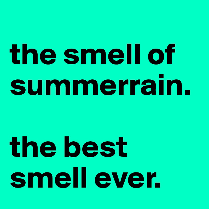 
the smell of summerrain.

the best smell ever.