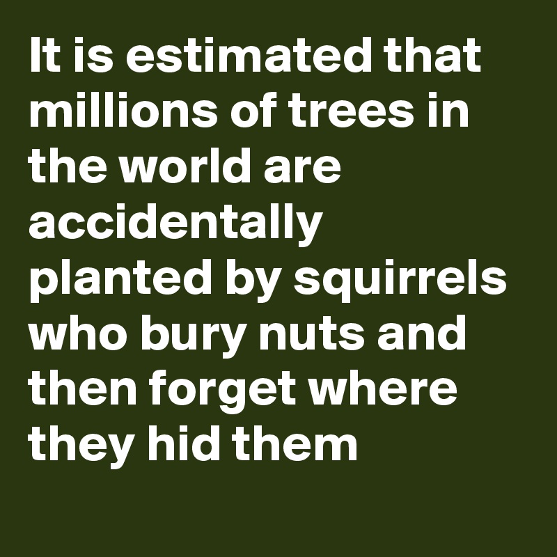 It is estimated that millions of trees in the world are accidentally planted by squirrels who bury nuts and then forget where they hid them