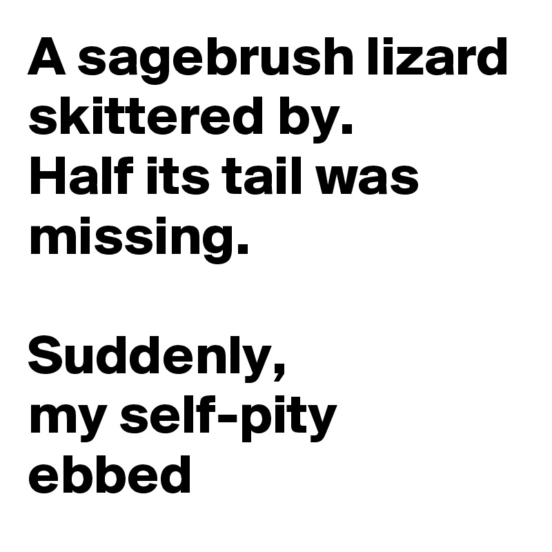 A sagebrush lizard skittered by.
Half its tail was missing.

Suddenly,
my self-pity ebbed