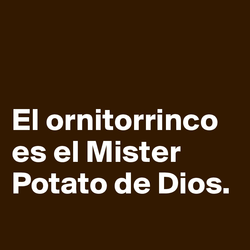 


El ornitorrinco es el Mister Potato de Dios. 
