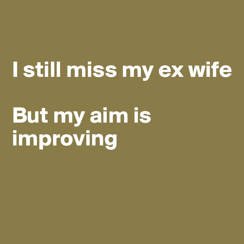 I Still Miss My Ex Wife But My Aim Is Improving Post By Stig300 On Boldomatic