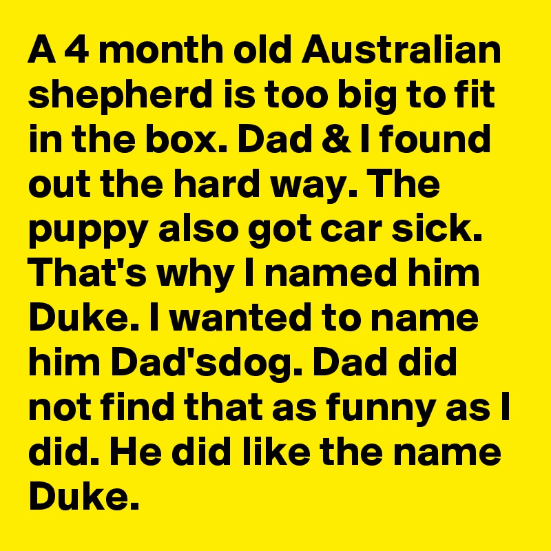A 4 month old Australian shepherd is too big to fit in the box. Dad & I found out the hard way. The puppy also got car sick. That's why I named him Duke. I wanted to name him Dad'sdog. Dad did not find that as funny as I did. He did like the name Duke.
