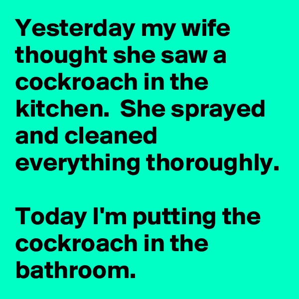 Yesterday my wife thought she saw a cockroach in the kitchen.  She sprayed and cleaned everything thoroughly.

Today I'm putting the cockroach in the bathroom.