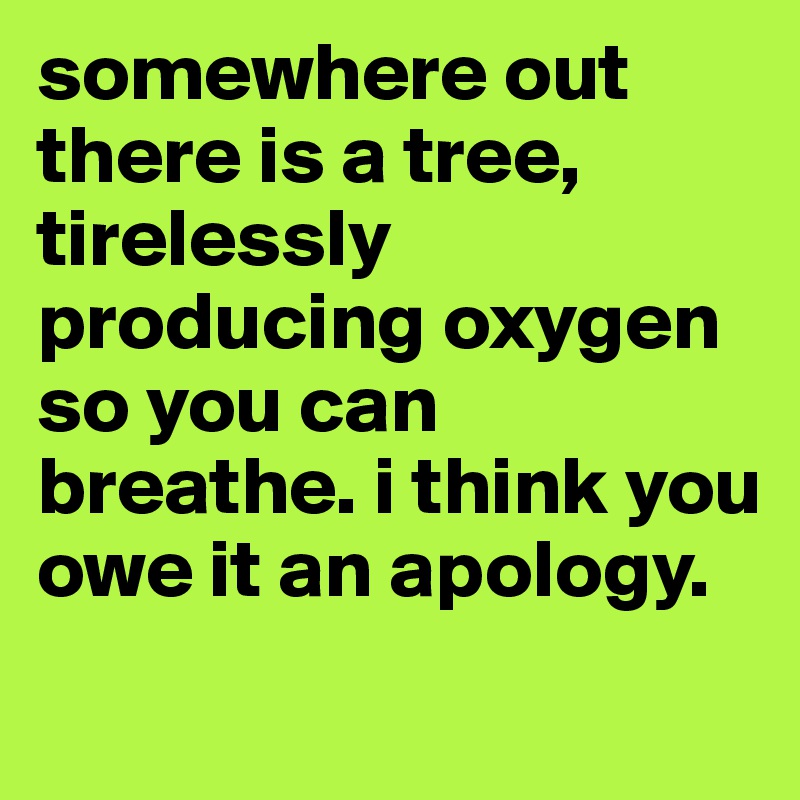 somewhere out there is a tree, tirelessly producing oxygen so you can breathe. i think you owe it an apology.
