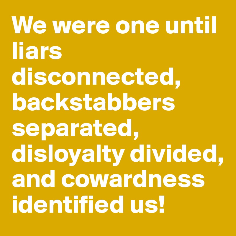 We were one until
liars disconnected,
backstabbers separated,
disloyalty divided,
and cowardness identified us!