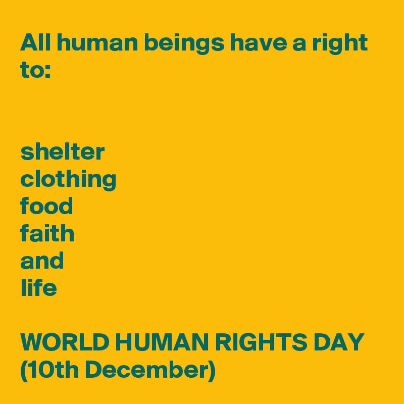 All human beings have a right to:

 
shelter
clothing
food
faith
and 
life

WORLD HUMAN RIGHTS DAY
(10th December)