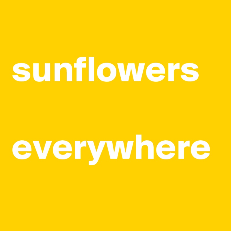 
sunflowers

everywhere