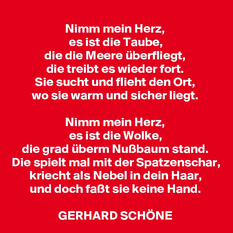 Nimm mein Herz, es ist die Taube, die die Meere überfliegt, die treibt