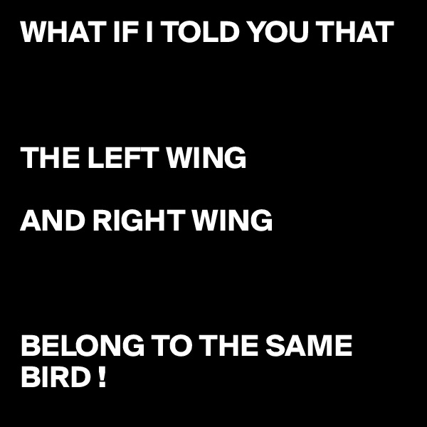 WHAT IF I TOLD YOU THAT



THE LEFT WING

AND RIGHT WING 



BELONG TO THE SAME BIRD !