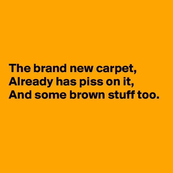 



The brand new carpet,
Already has piss on it,
And some brown stuff too.



