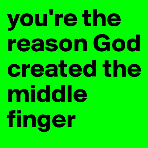 you're the reason God created the middle finger