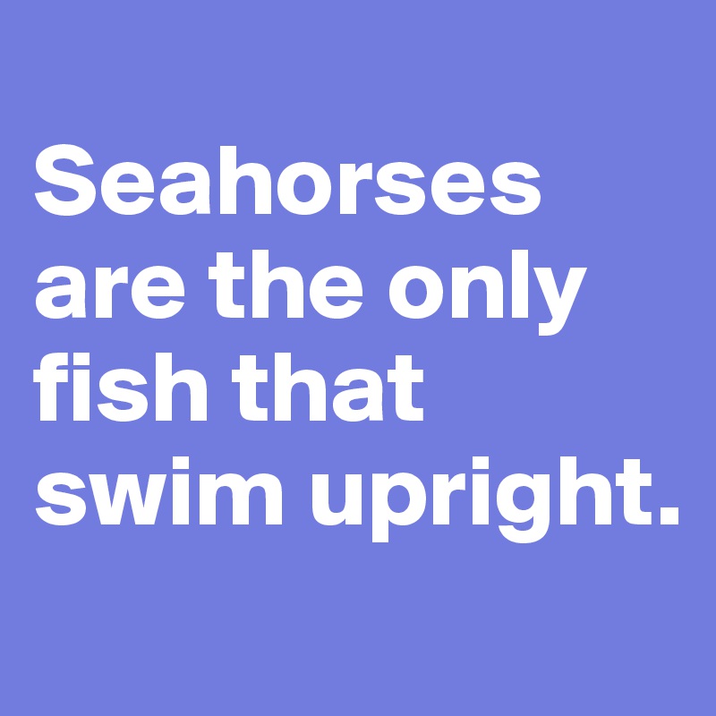 
Seahorses are the only fish that swim upright.
