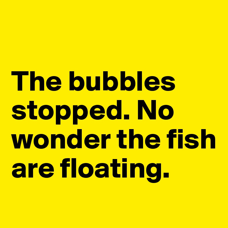 

The bubbles stopped. No wonder the fish are floating. 