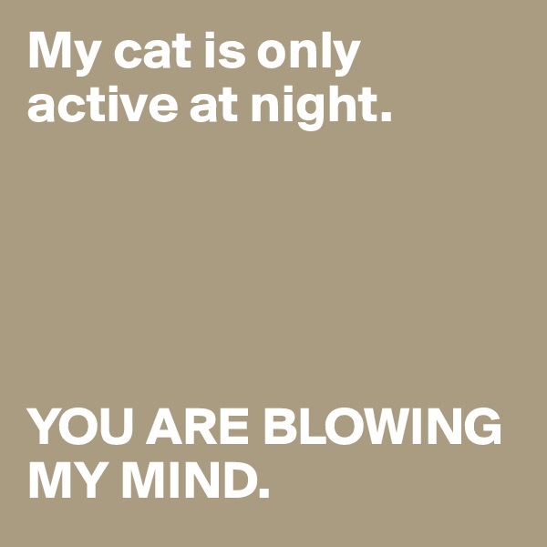 My cat is only active at night.





YOU ARE BLOWING MY MIND.