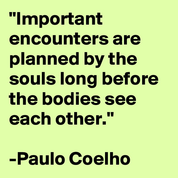 "Important encounters are planned by the souls long before the bodies see each other."

-Paulo Coelho