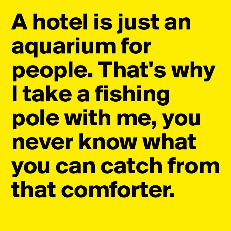 A hotel is just an aquarium for people. That's why I take a fishing pole with me, you never know what you can catch from that comforter. 