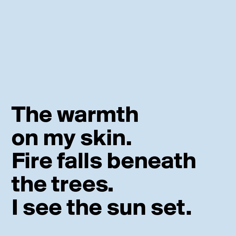 



The warmth 
on my skin. 
Fire falls beneath the trees. 
I see the sun set.