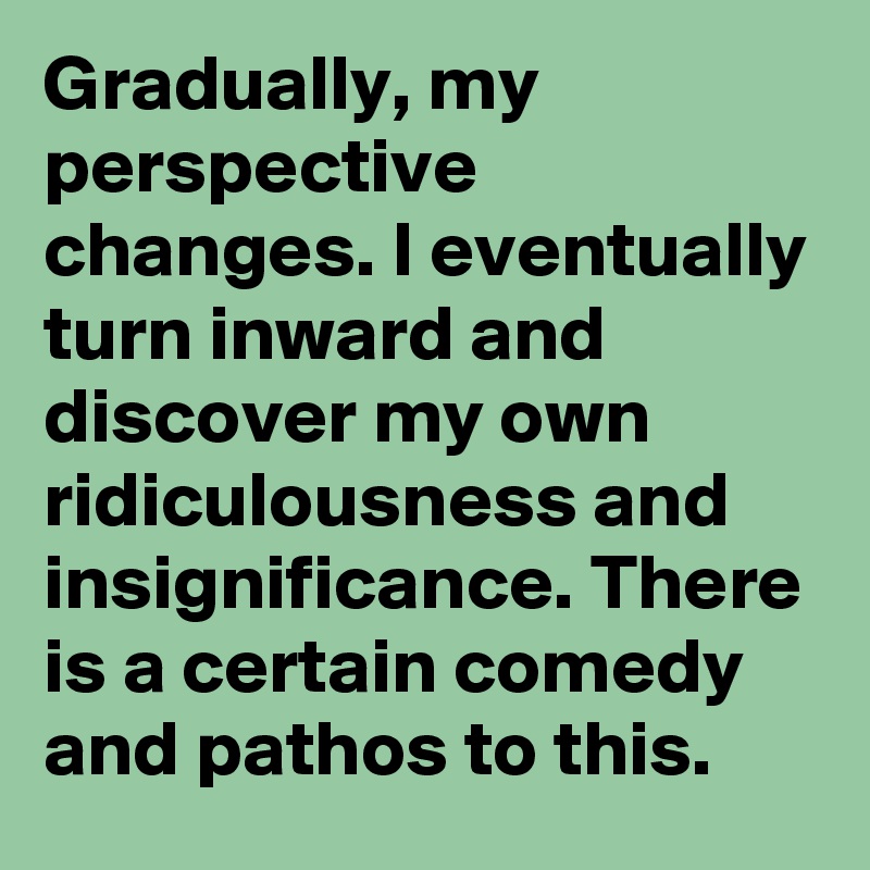 Gradually, my perspective changes. I eventually turn inward and discover my own ridiculousness and insignificance. There is a certain comedy and pathos to this. 