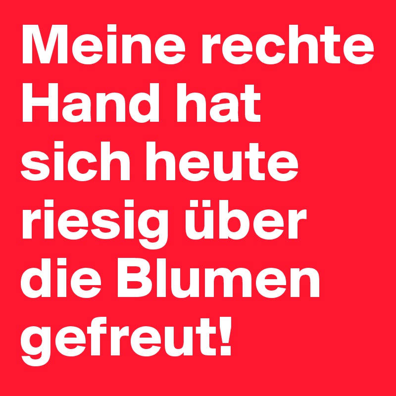 Meine rechte Hand hat sich heute riesig über die Blumen gefreut!