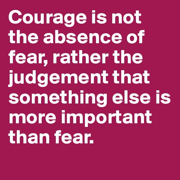 Courage is not the absence of fear, rather the judgement that something else is more important than fear.