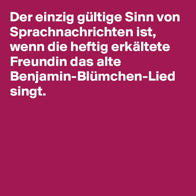 Der einzig gültige Sinn von Sprachnachrichten ist, wenn die heftig erkältete Freundin das alte Benjamin-Blümchen-Lied singt.