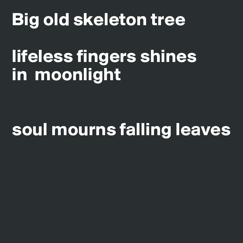 Big old skeleton tree

lifeless fingers shines 
in  moonlight 


soul mourns falling leaves 



