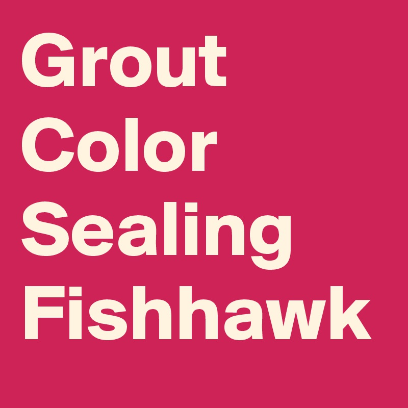 Grout Color Sealing Fishhawk
