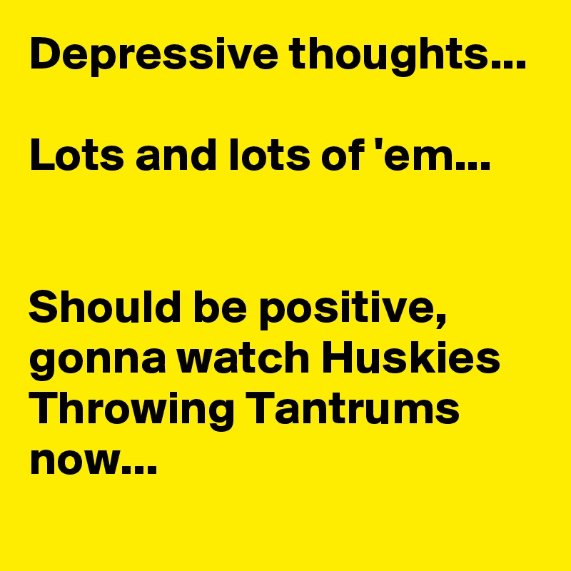 Depressive thoughts... 

Lots and lots of 'em... 


Should be positive, gonna watch Huskies Throwing Tantrums now... 
