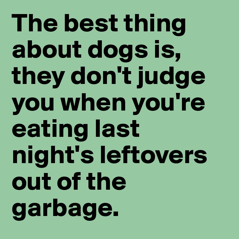 The best thing about dogs is, they don't judge you when you're eating last night's leftovers out of the garbage.