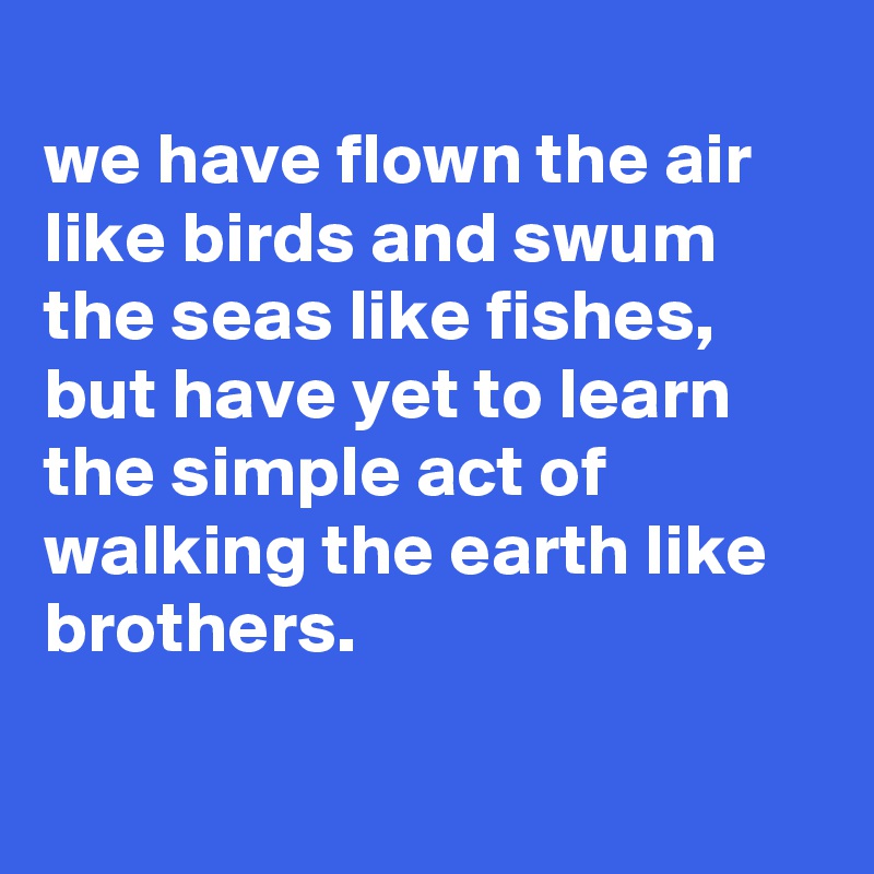
we have flown the air like birds and swum the seas like fishes, but have yet to learn the simple act of walking the earth like brothers.


