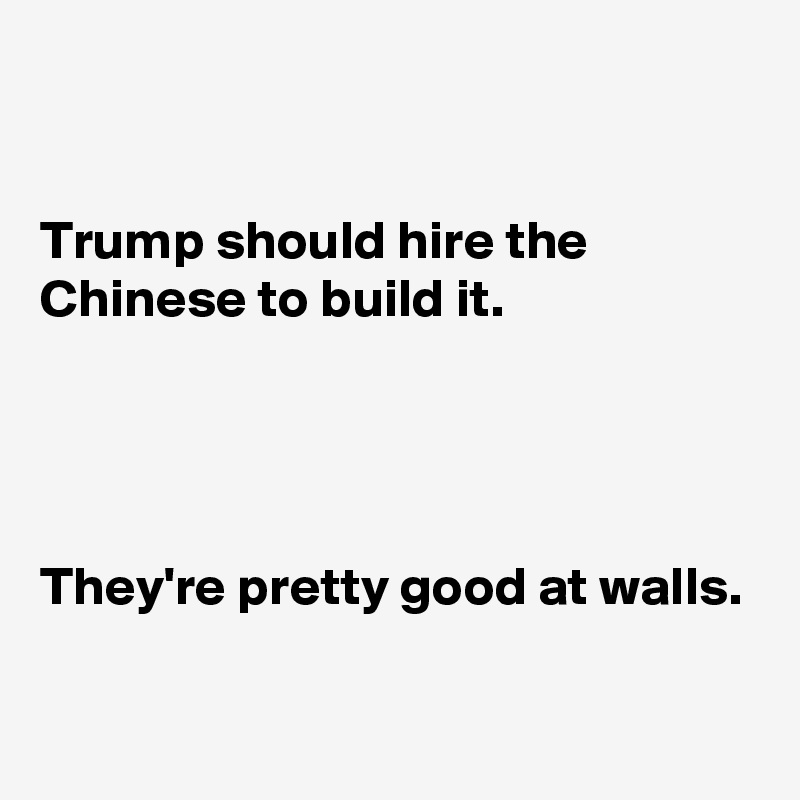 


Trump should hire the Chinese to build it. 




They're pretty good at walls.

