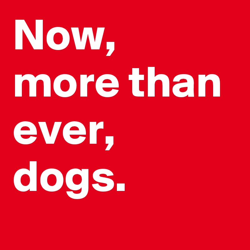 Now, more than ever, dogs.