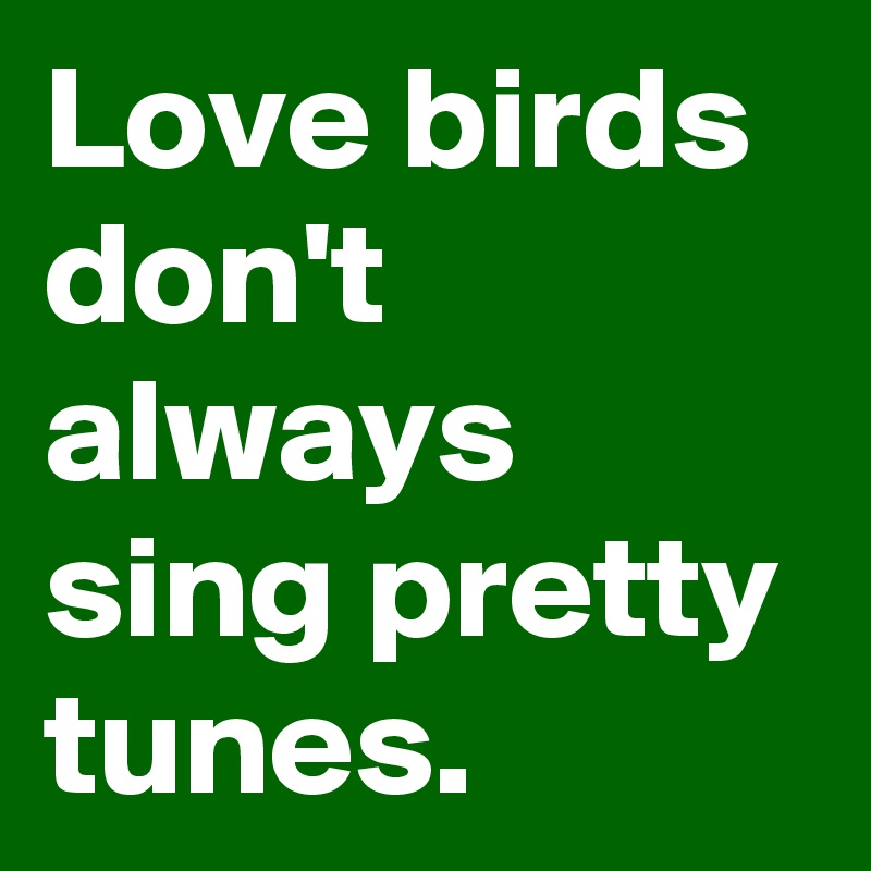 Love birds don't always sing pretty tunes.