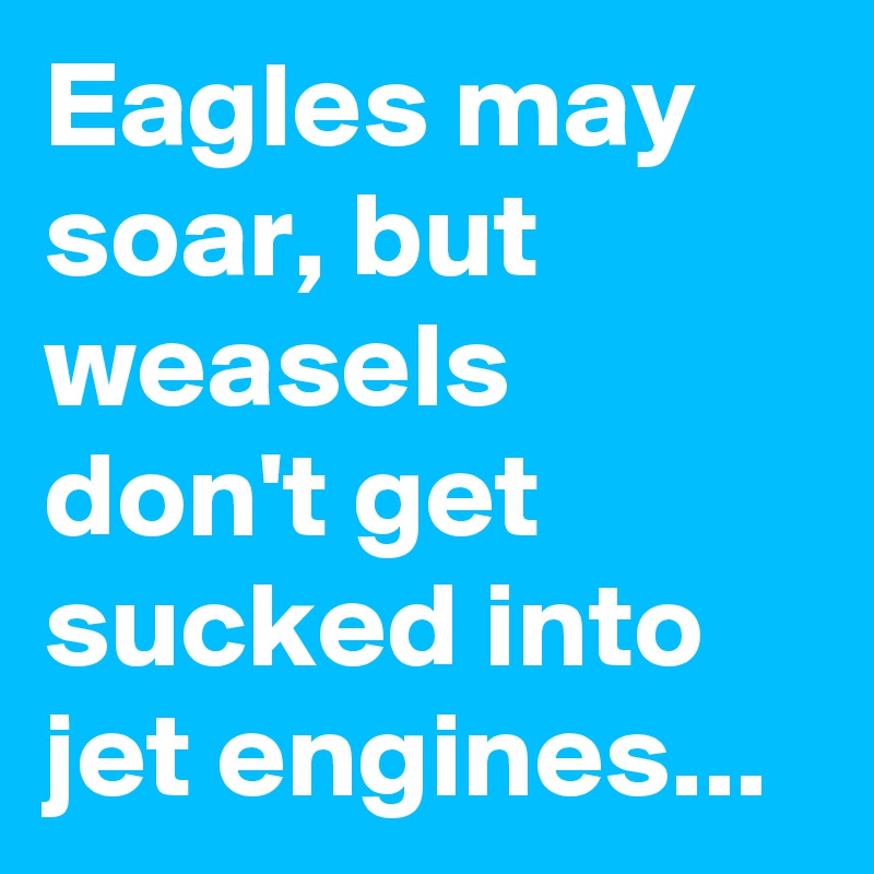 Eagles may soar, but weasels don't get sucked into jet engines...