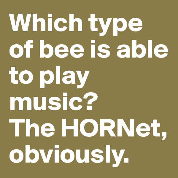 Which type of bee is able to play music?
The HORNet,
obviously. 